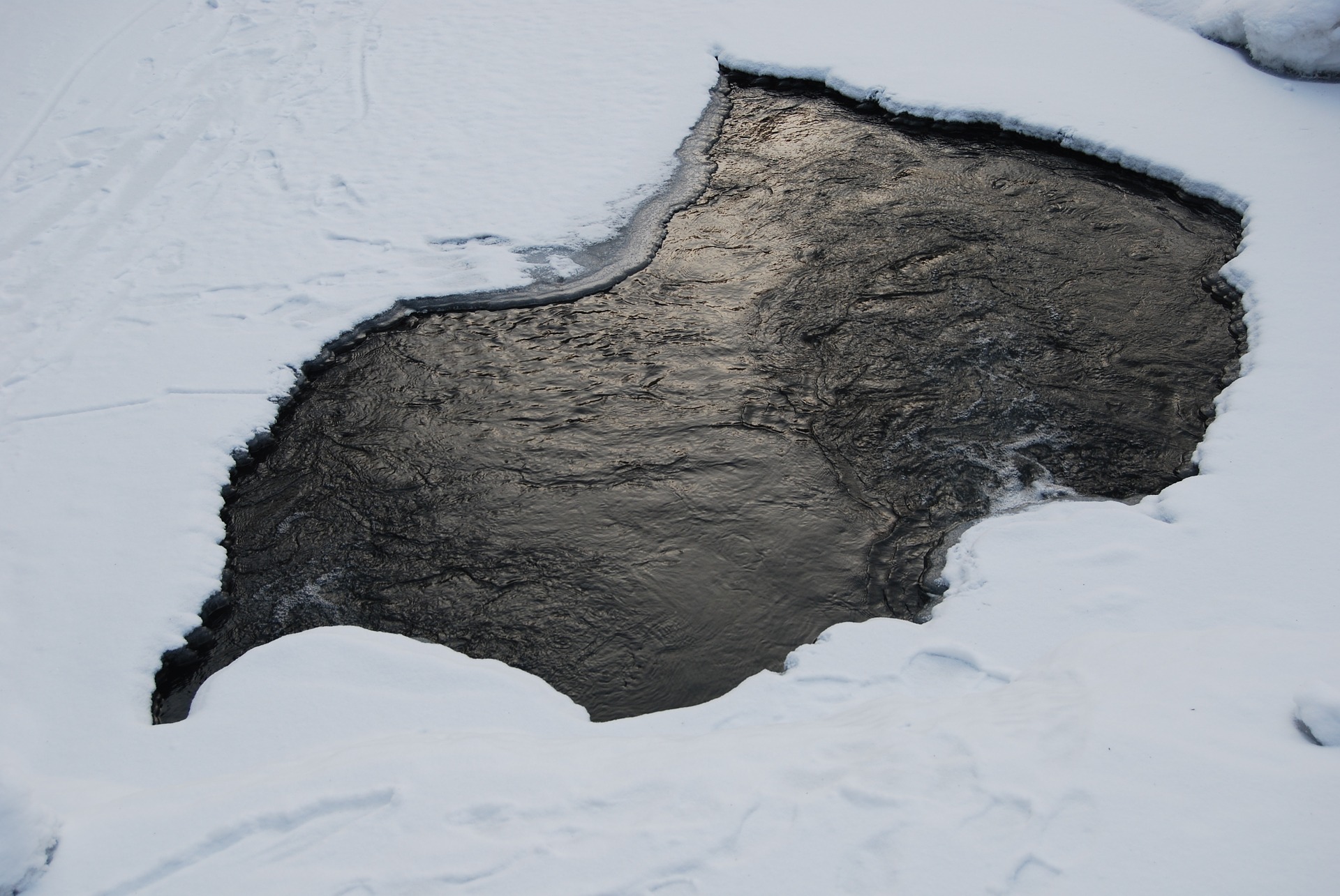 Daninów: Pod zwierzętami załamał się lód. Nie udało się ich uratować