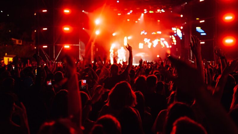 Charytatywny koncert Igi Iglewskiej w Koninie dla Poli