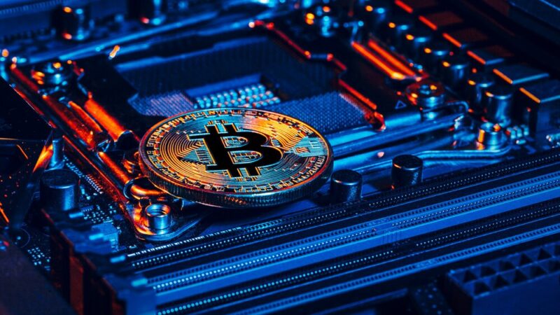 Młodzi przedsiębiorcy z Konina: Kryptowaluty jako klucz do przyszłości biznesu