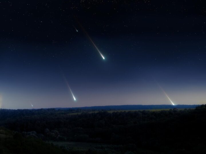 Noc Perseidów w Koninie: Wspólne Oglądanie Spadających Gwiazd!