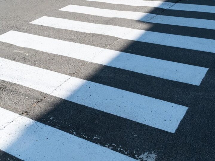 Uwaga! Łoś wtargnął na drogę – kierowcy, bądźcie ostrożni!