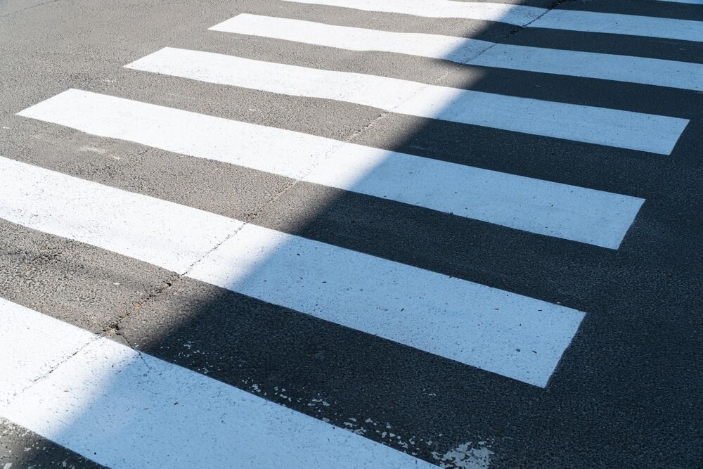 Uwaga! Łoś wtargnął na drogę – kierowcy, bądźcie ostrożni!