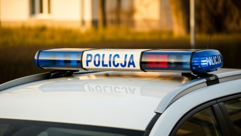 Zatrzymany poszukiwany: Tureccy policjanci w akcji!
