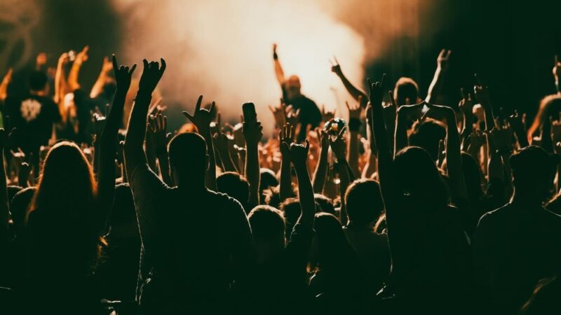 Dźwięki z głębin: niezapomniany koncert Rafała Kołackiego w wodnym świecie