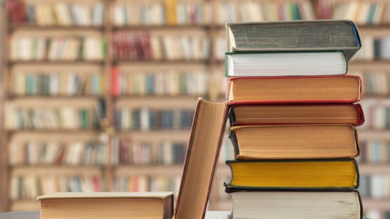 Emilia Kiereś w Koninie: odkryj tajemnice literackiego świata!