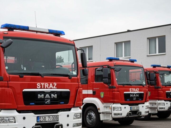 Trzy alarmy w Koninie: fałszywy pożar i gniazda szerszeni do likwidacji