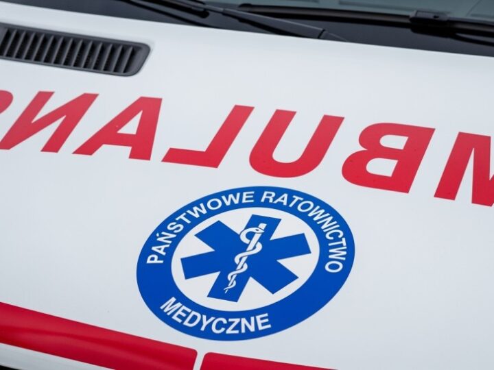 Śnieżna nawałnica w powiecie konińskim: powalone drzewa i chaos na drogach