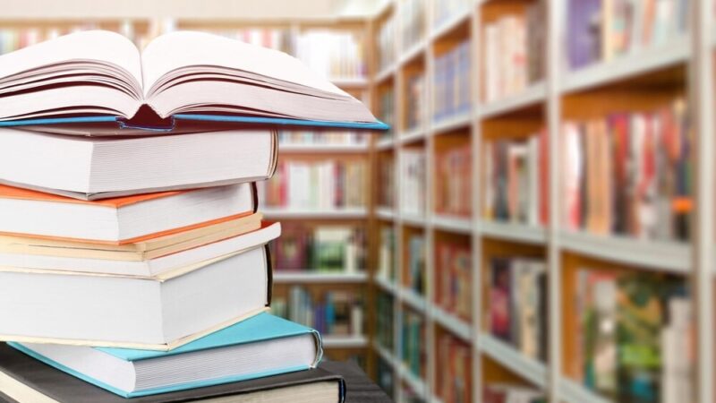 Dzieci odkrywają magię biblioteki: pierwsza wizyta pełna książek i kreatywności