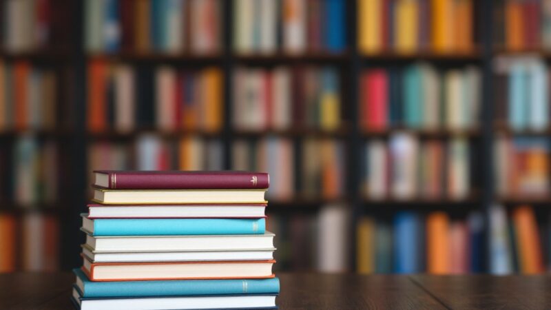 Zanzibar w bibliotece: Przedszkolaki zafascynowane Moniką Domańską