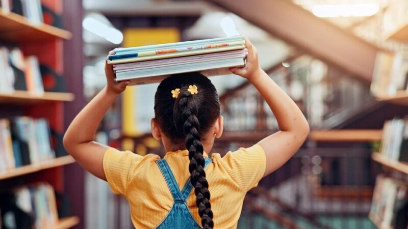 Stare Miasto przyjmuje budżet na 2026 rok z priorytetem dla edukacji i ekologii