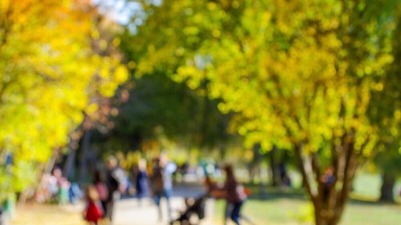 Mikołajki pełne radości dla rodzin zastępczych w Koninie