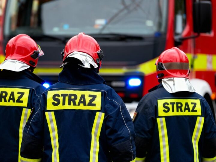 Sarenka uratowana z wykopu przez strażaków w Koninie