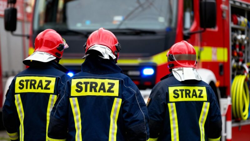 Sarenka uratowana z wykopu przez strażaków w Koninie