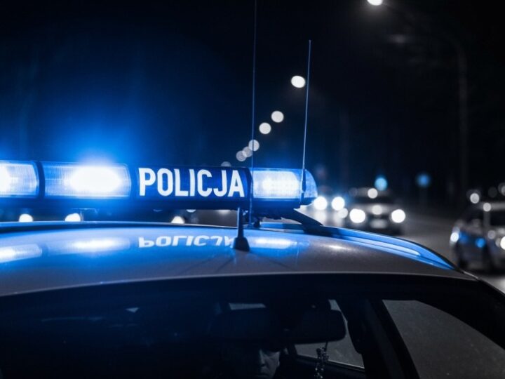 Walka o godne życie psów w schronisku w Koninie: interwencje i kontrole