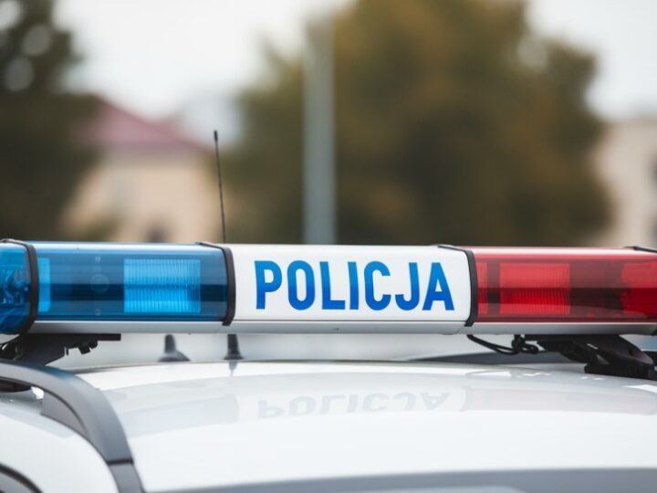 Zatrzymany kierowca z aktywnym zakazem i poszukiwany przez sąd