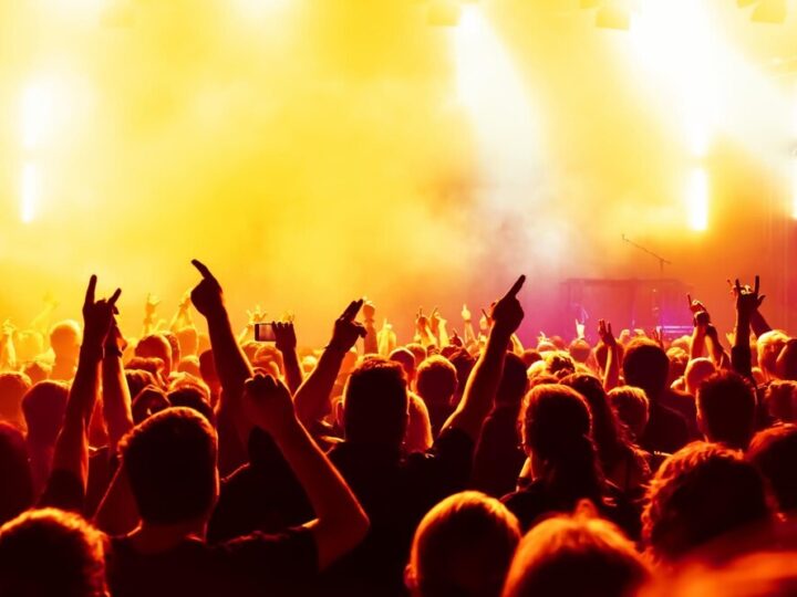 Wiosenne koncerty dla rodzin z ptasimi dźwiękami!