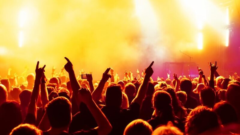 Wiosenne koncerty dla rodzin z ptasimi dźwiękami!