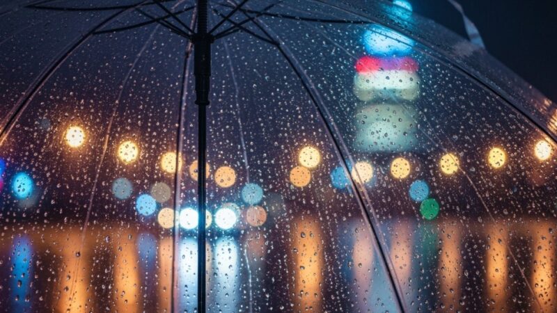 Przymrozki na horyzoncie – sprawdź ostrzeżenie!