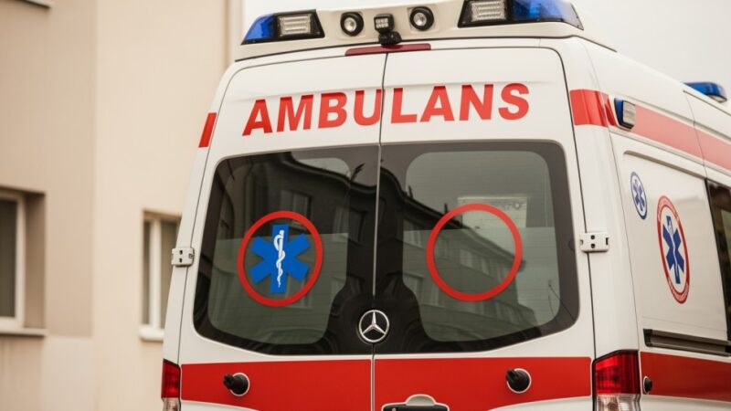 Tragedia w Zalesiu: trzy konie zmarły od porażenia prądem na wybiegu