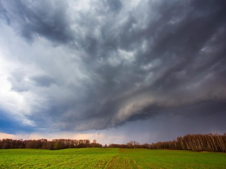 Ostrzeżenia meteorologiczne: ekstremalne upały i burze nadchodzą!