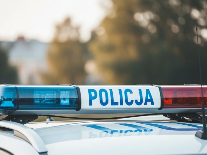 Mężczyzna z maczetą i atrapą broni terroryzował bliskich