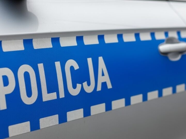 Policja w akcji: Bohaterska interwencja dla małej wiewiórki w Koninie