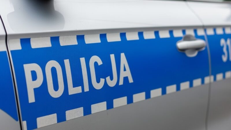 Policja w akcji: Bohaterska interwencja dla małej wiewiórki w Koninie