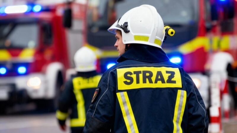 Gminne manewry OSP w Starym Mieście: strażacy ćwiczą w leśnym terenie